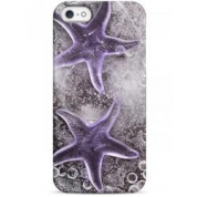 фото Чехол морские звезды во льду - iPhone 5 / 5S / 5C Sahar cases